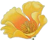 californiasystems.pages.dev favicon